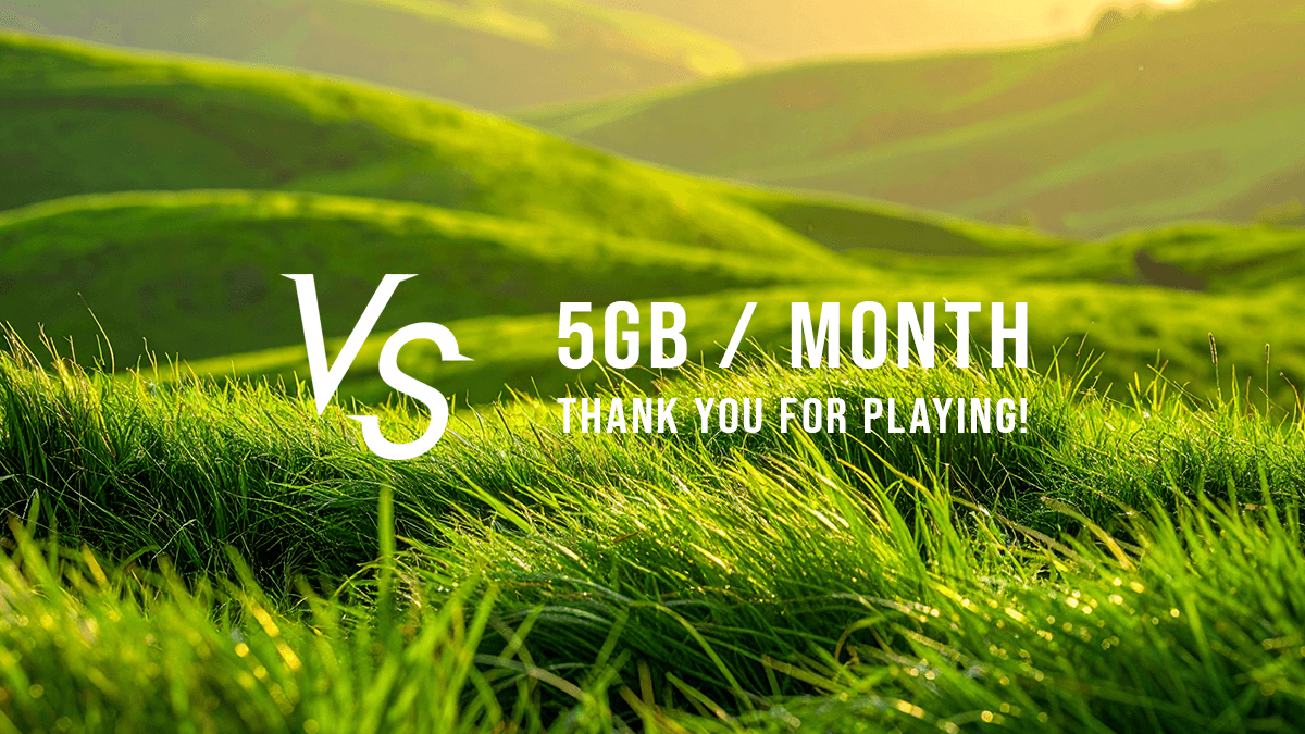 Vscordの月間データ送信量が5GBを突破しました